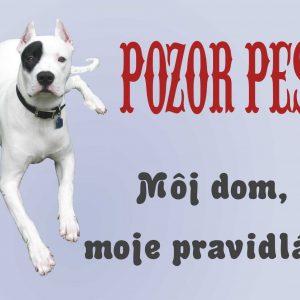 Argentínska doga. Tabuľka pozor pes. Pozor pes! Môj dom, moje pravidlá!