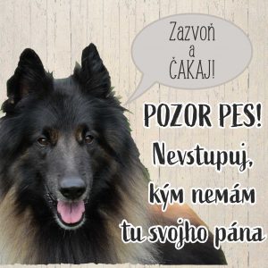 Belgický ovčiak. Tabuľka pozor pes. Zazvoň a čakaj! Pozor pes! Nevstupuj, kým nemám tu svojho pána!