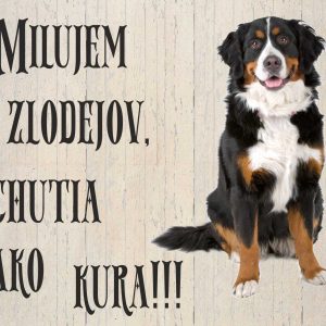 Bernský salašnícky pes. Tabuľka pozor pes. Milujem zlodejov, chutia ako kura!!!