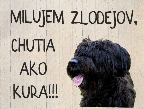 Briard. Tabuľka pozor pes. Milujem zlodejov, chutia ako kura!!!