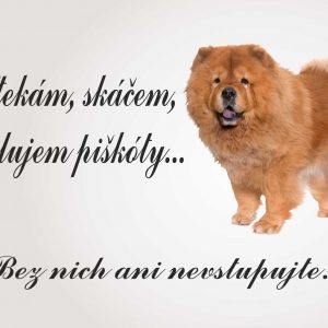 Čau čau. Tabuľka pozor pes. Štekám, skáčem, milujem piškóty... Bez nich ani nevstupujte!!!