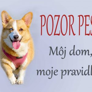 Corgi. Tabuľka pozor pes. Pozor pes! Môj dom, moje pravidlá!