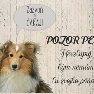 Kólia