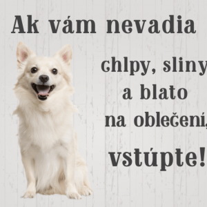 Čivava biela. Pozor pes tabuľka. Ak vám nevadia chlpy, sliny a blato na oblečení vstúpte!