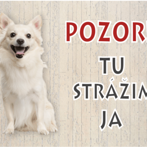 Čivava biela. Pozor pes tabuľka. Pozor! Tu strážim ja