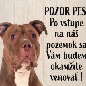 Americký pitbulteriér. Tabuľka pozor pes. POZOR PES! Po vstupe na náš pozemok sa Vám budem okamžite venovať!