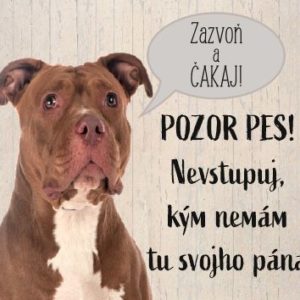 Americký pitbulteriér – Zazvoň a čakaj