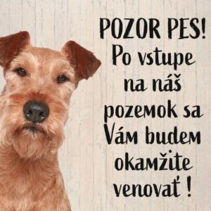 Írsky teriér. Tabuľka pozor pes. POZOR PES! Po vstupe na náš pozemok sa Vám budem okamžite venovať!