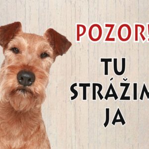 Írsky teriér – Pozor! Tu strážim ja