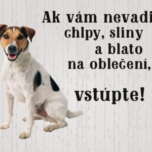 Jack Russell Terrier – Ak vám nevadia chlpy, sliny a blato na oblečení vstúpte!