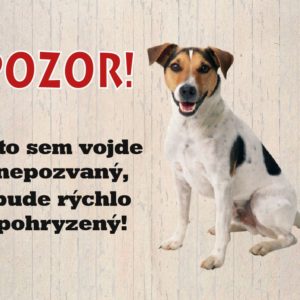 Jack Russell Terrier – Kto sem vôjde nepozvaný, bude rýchlo pohryzený