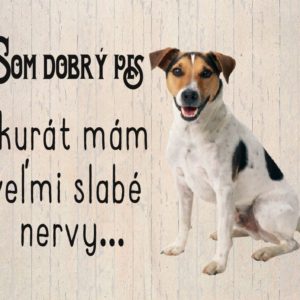 Jack Russell Terrier – Som dobrý pes akurát mám slabé nervy