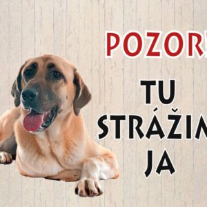 Kangal – Pozor! Tu strážim ja