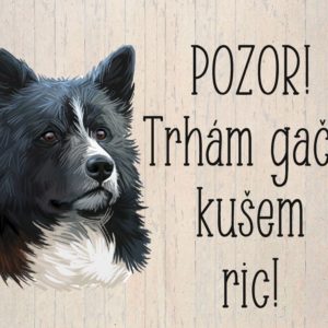 Karelský medvedí pes – Trhám gače, kušem ric.