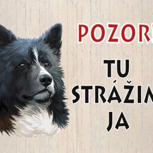Karelský medvedí pes – Pozor! Tu strážim ja