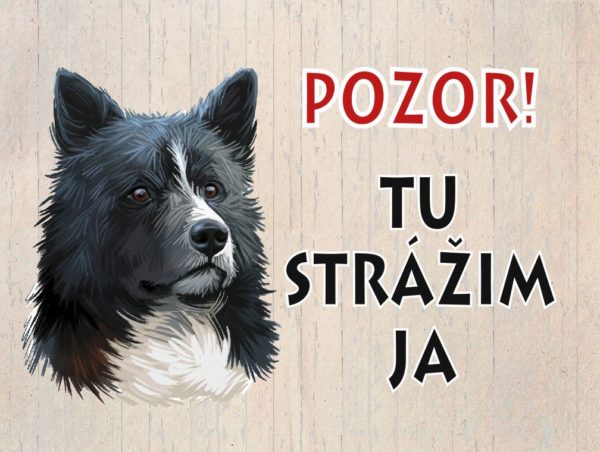 Karelský medvedí pes – Pozor! Tu strážim ja