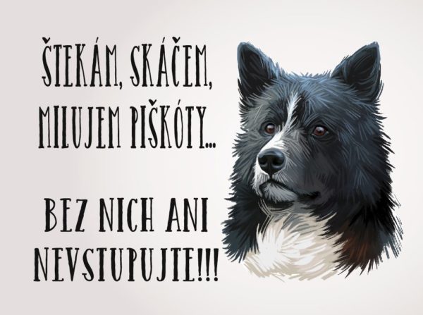 Karelský medvedí pes – štekám, skáčem, milujem piškóty… Bez nich ani nevstupujte!!!