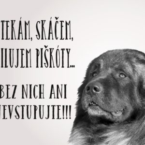 Kaukazský ovčiak – štekám, skáčem, milujem piškóty… Bez nich ani nevstupujte!!!
