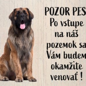 Leonberger. Tabuľka pozor pes. POZOR PES! Po vstupe na náš pozemok sa Vám budem okamžite venovať!