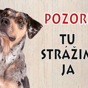 Louisianský leopardí pes – Pozor! Tu strážim ja