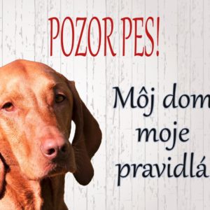Maďarská vyižla – Pozor pes! Môj dom, moje pravidlá!