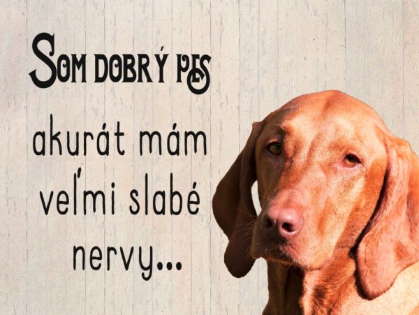Maďarská vyižla – Som dobrý pes akurát mám slabé nervy