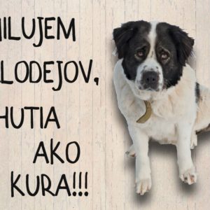 Moskovský strážny pes – Milujem zlodejov, chutia ako kura