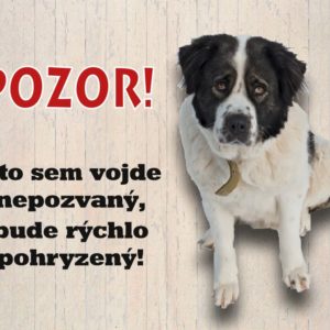 Moskovský strážny pes – Kto sem vôjde nepozvaný, bude rýchlo pohryzený