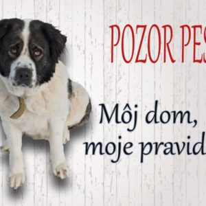 Moskovský strážny pes – Pozor pes! Môj dom, moje pravidlá!
