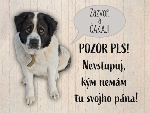 Moskovský strážny pes - Zazvoň a čakaj