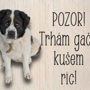 Moskovský strážny pes – Trhám gače, kušem ric.