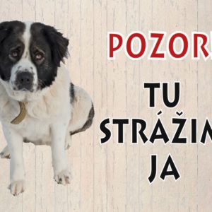Moskovský strážny pes – Pozor! Tu strážim ja