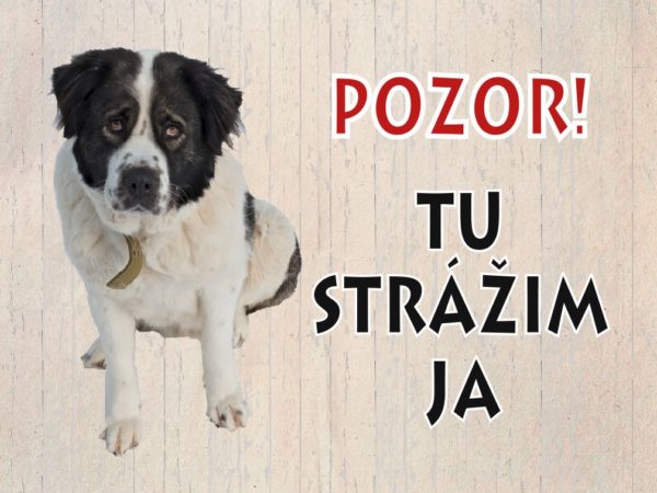 Moskovský strážny pes – Pozor! Tu strážim ja