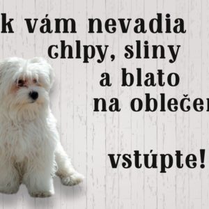 Maltézský psík – Ak vám nevadia chlpy, sliny a blato na oblečení vstúpte!