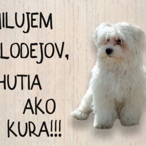 Maltézský psík – Milujem zlodejov, chutia ako kura