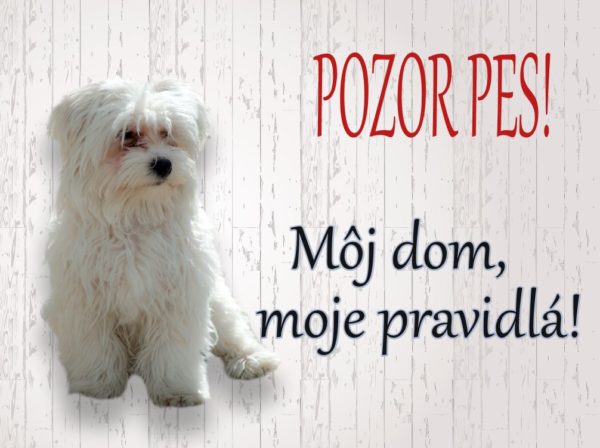 Maltézský psík – Pozor pes! Môj dom, moje pravidlá!