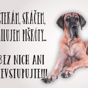 Nemecká doga – štekám, skáčem, milujem piškóty… Bez nich ani nevstupujte!!!